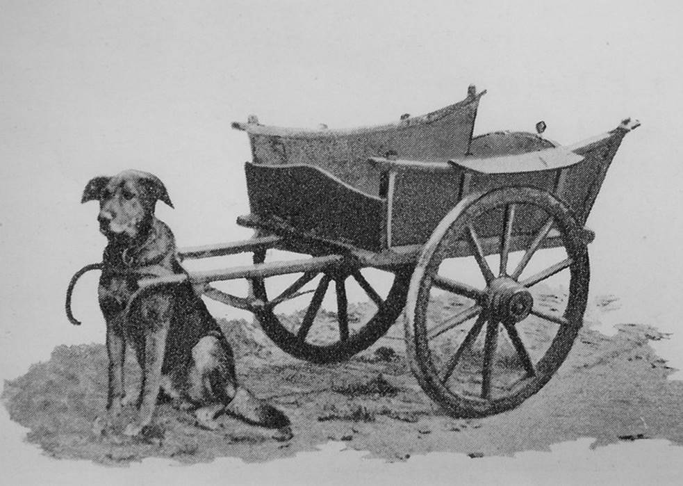 Afbeeldingsresultaat voor hondenkar bakker