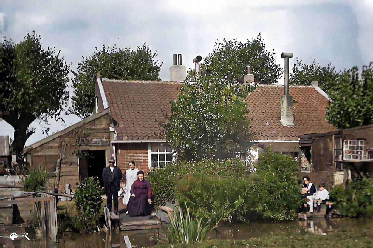 Afbeelding met buitenshuis, wolk, hemel, plant
Automatisch gegenereerde beschrijving